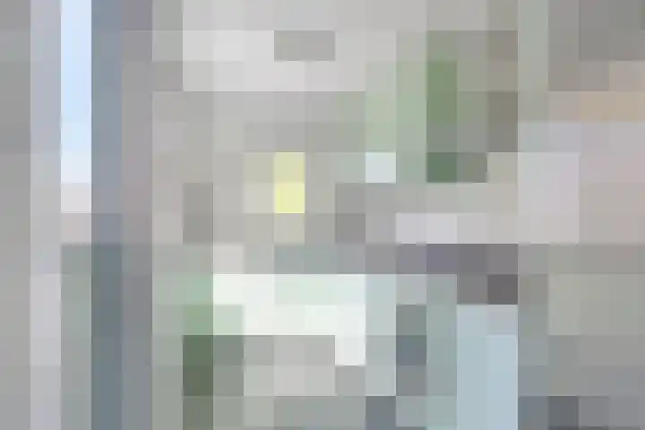 Rolklaver 95 Rotterdam thumbnail 8
