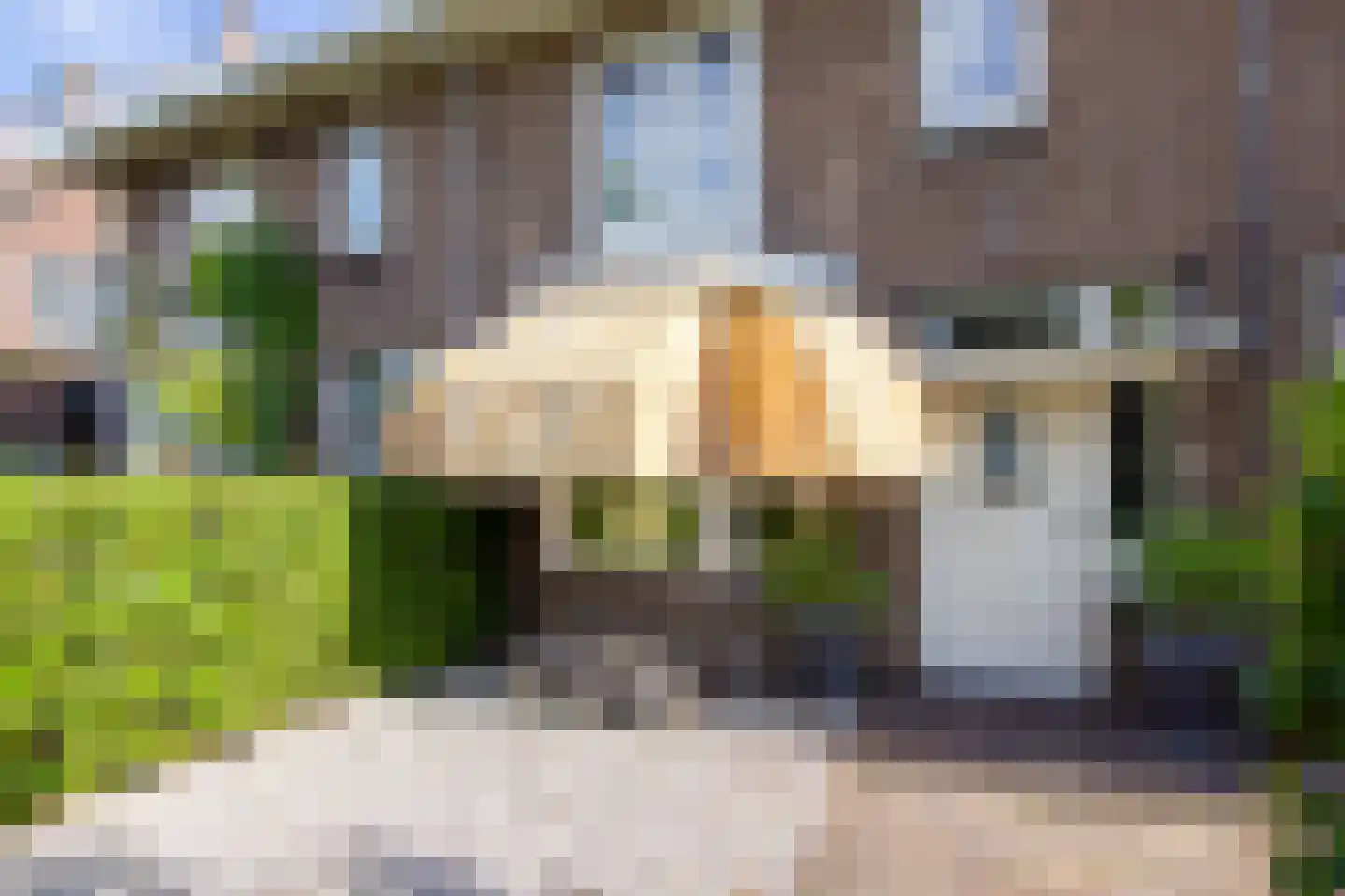 Rollandslaan 29 Haarlem thumbnail 32