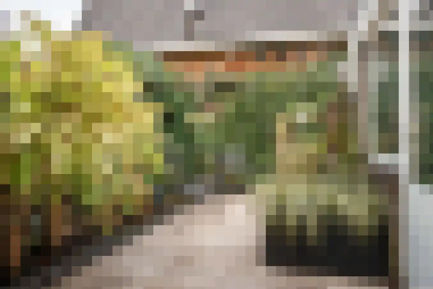 Rollandslaan 37 Haarlem thumbnail 4