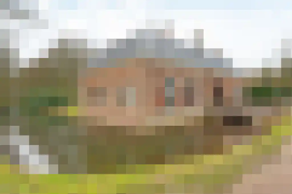 Rollandslaan 37 Haarlem thumbnail 46