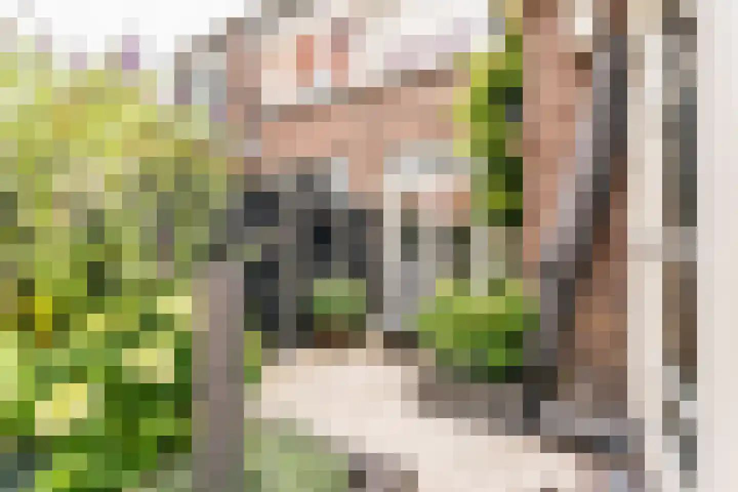 Rollandslaan 51 Haarlem thumbnail 21