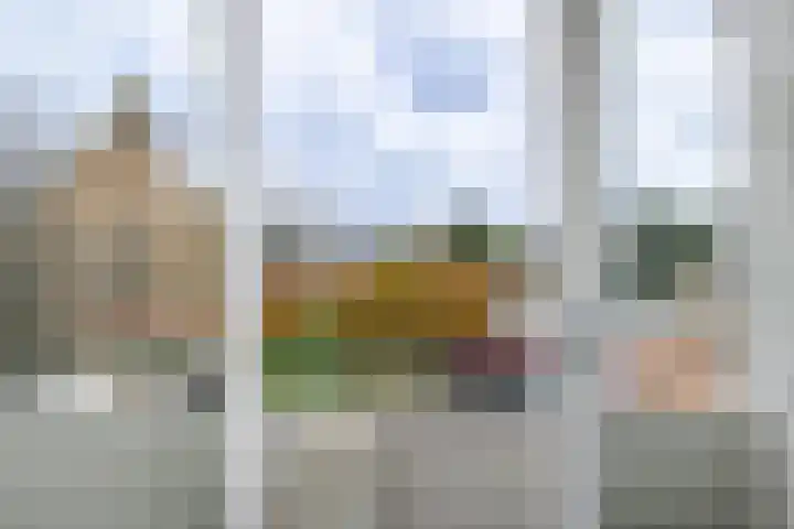 Rollandslaan 72 Haarlem thumbnail 25