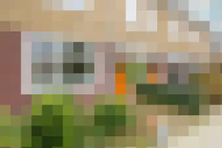 Rollandslaan 72 Haarlem thumbnail 7