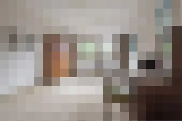 Rollandslaan 78 Haarlem thumbnail 19