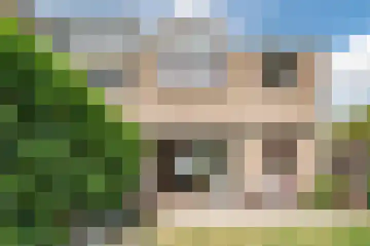 Rollandslaan 78 Haarlem thumbnail 38
