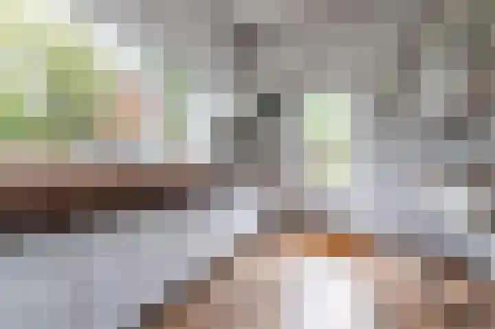 Rollandslaan 78 Haarlem thumbnail 8