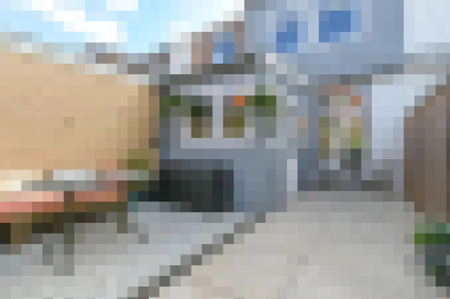 Rollandstraat 45 Haarlem thumbnail 39