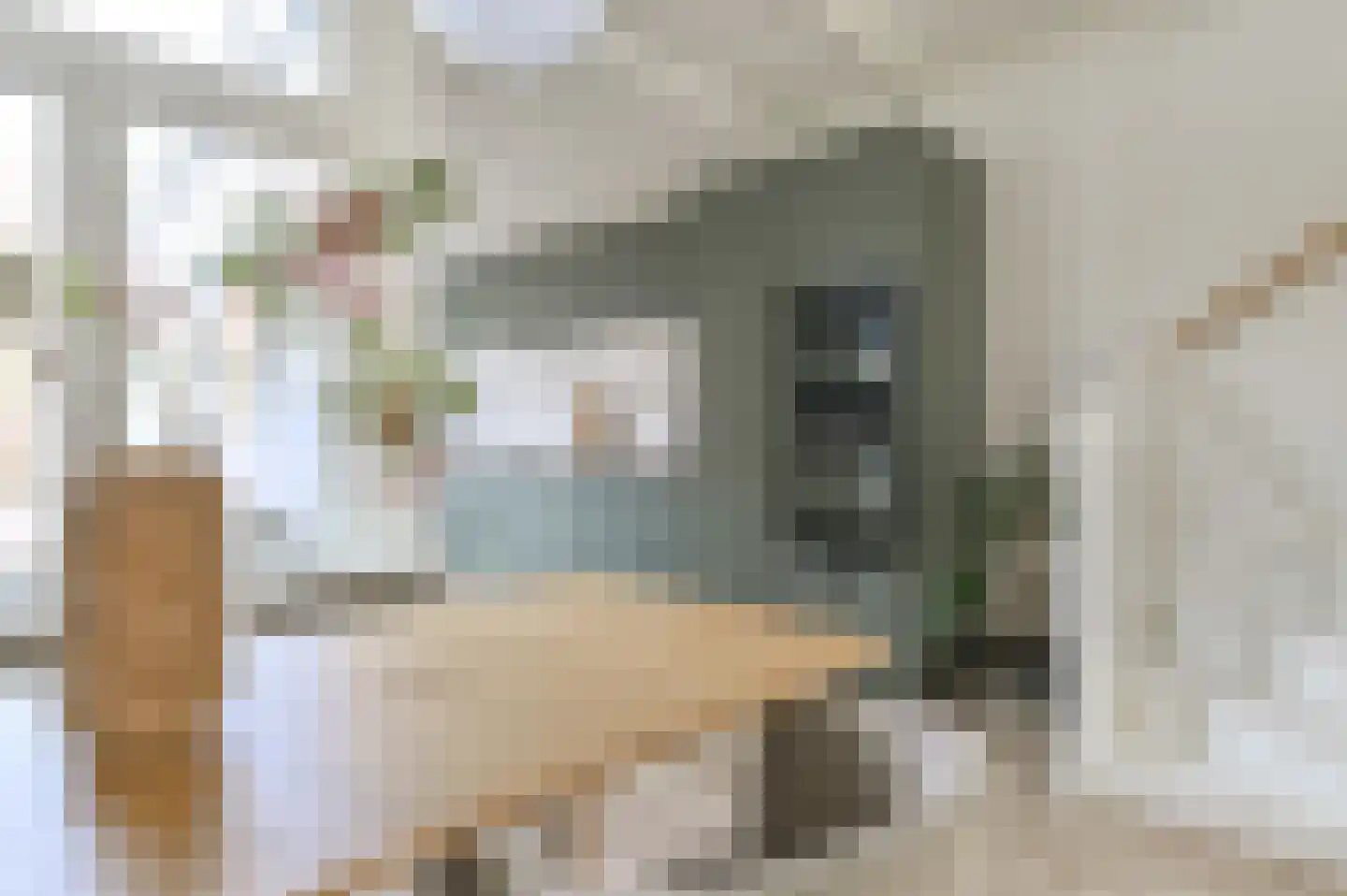 Rollandstraat 45 Haarlem thumbnail 6