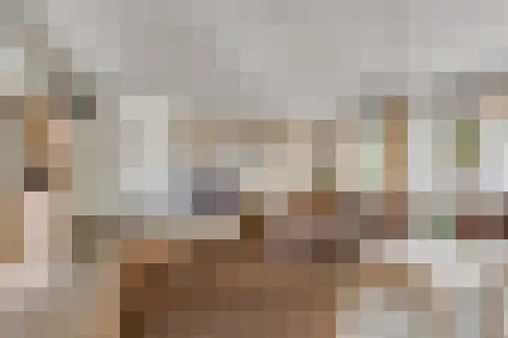 Rollandthof 17 Zierikzee thumbnail 10