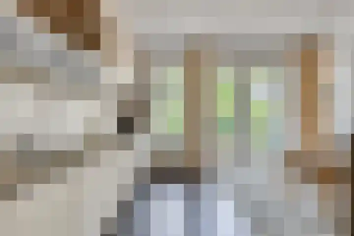 Rollandthof 17 Zierikzee thumbnail 14