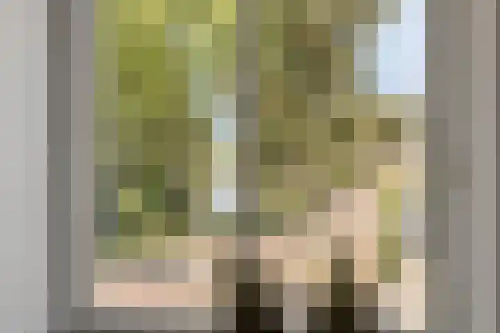 Rollandthof 17 Zierikzee thumbnail 17