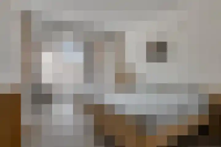 Rollandthof 17 Zierikzee thumbnail 18