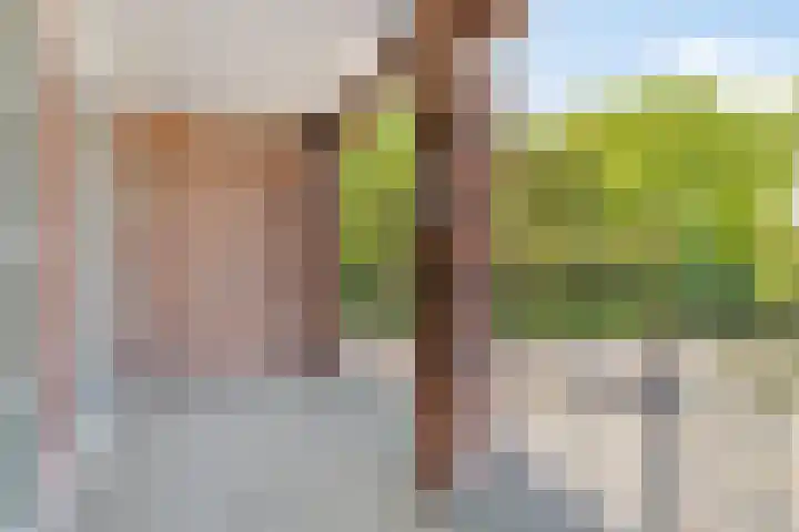 Rollandthof 17 Zierikzee thumbnail 24