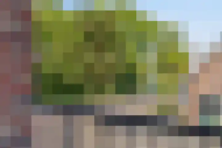 Rollandthof 17 Zierikzee thumbnail 25