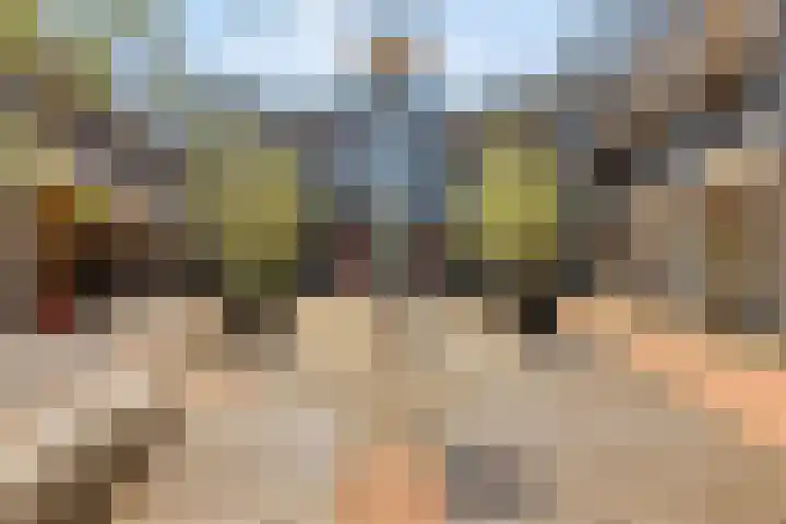 Rollandthof 17 Zierikzee thumbnail 27