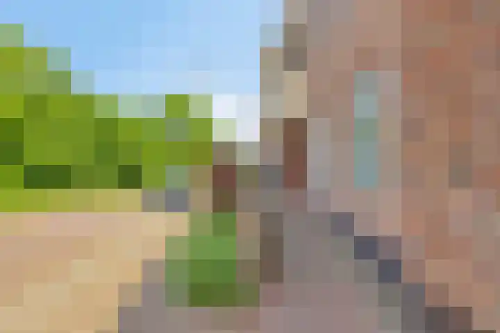 Rollandthof 17 Zierikzee thumbnail 31