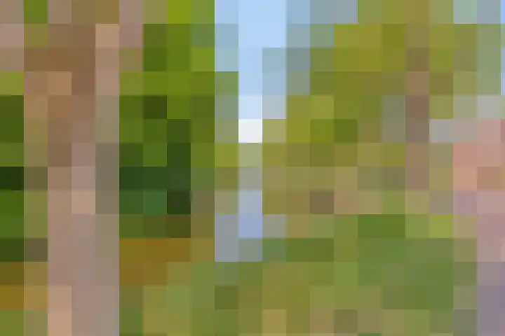 Rollandthof 17 Zierikzee thumbnail 32