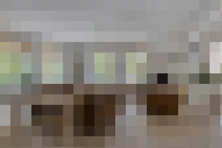 Rollandthof 17 Zierikzee thumbnail 6