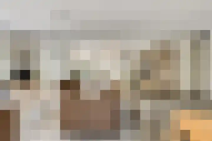 Rollandthof 17 Zierikzee thumbnail 8