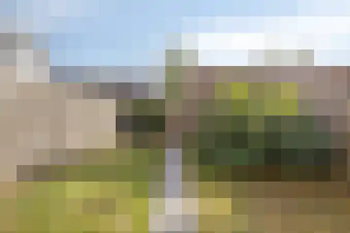 Rollandthof 20 Zierikzee thumbnail 29