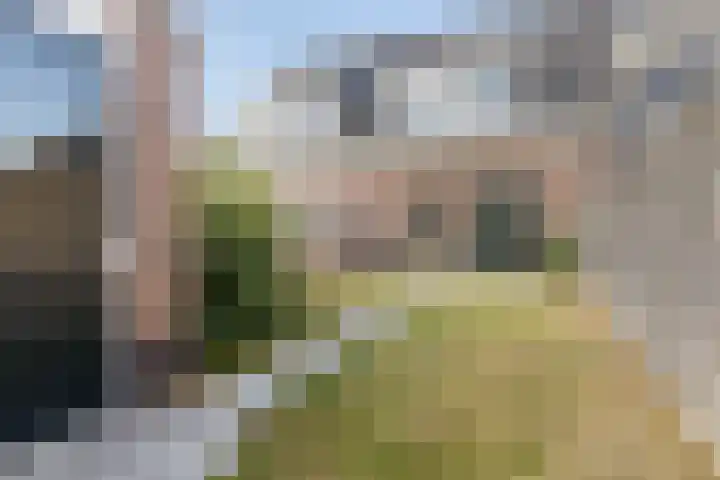 Rollandthof 20 Zierikzee thumbnail 31