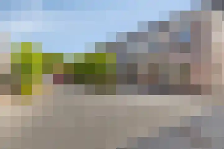 Rollandthof 20 Zierikzee thumbnail 32