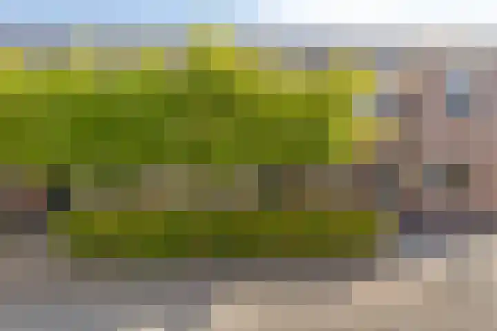 Rollandthof 20 Zierikzee thumbnail 33