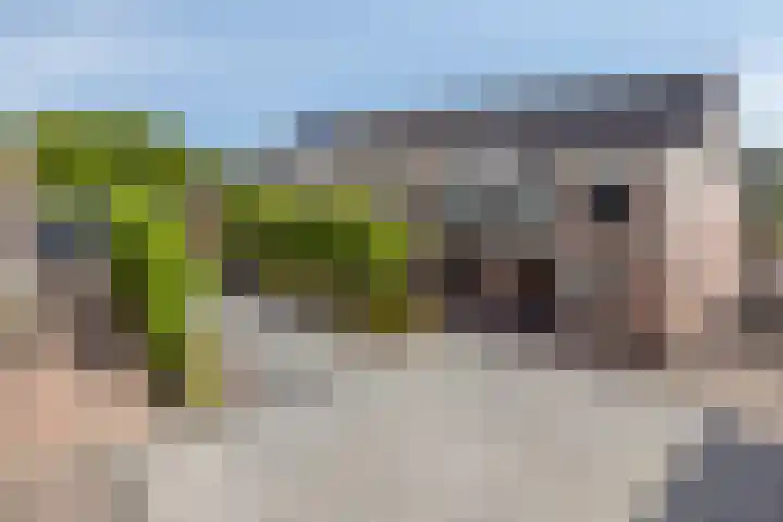 Rollandthof 20 Zierikzee thumbnail 4