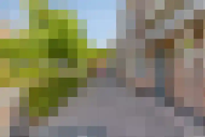 Rollandthof 20 Zierikzee thumbnail 5
