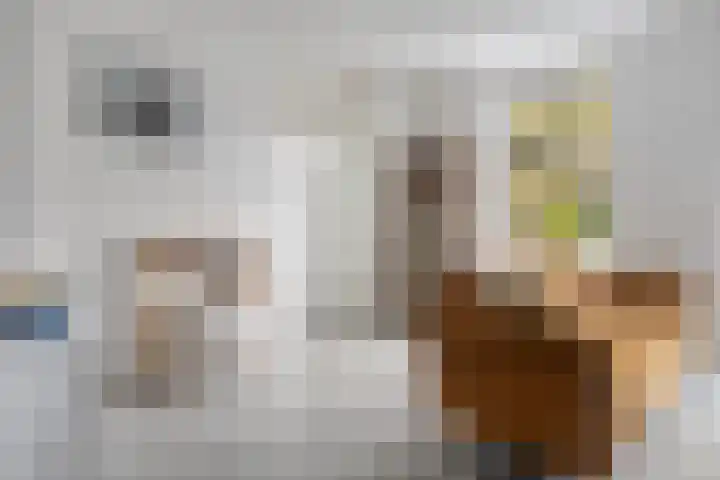 Rollandthof 26 Zierikzee thumbnail 16