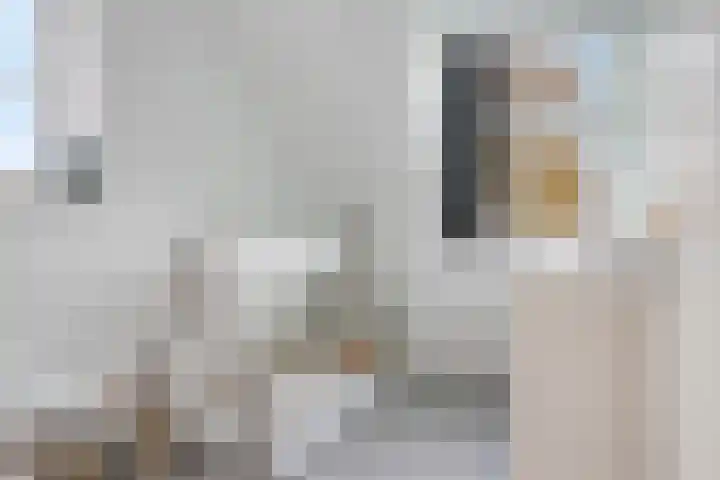 Rollandthof 26 Zierikzee thumbnail 27