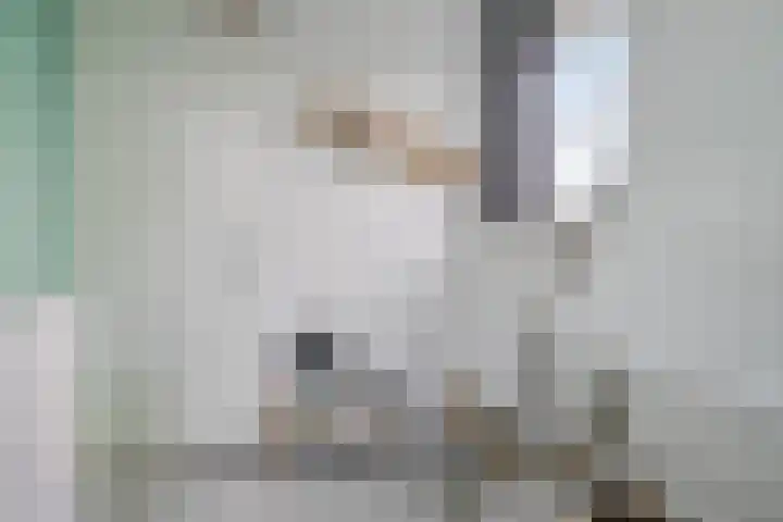 Rollandthof 26 Zierikzee thumbnail 28