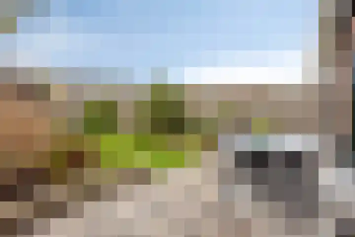 Rollandthof 26 Zierikzee thumbnail 32