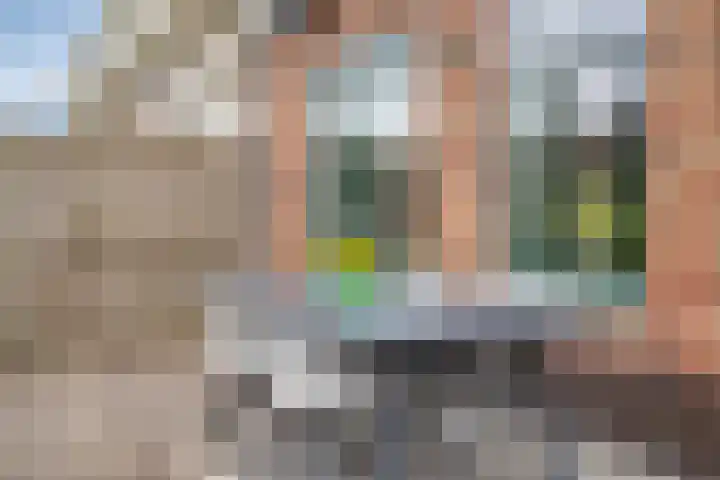 Rollandthof 26 Zierikzee thumbnail 33