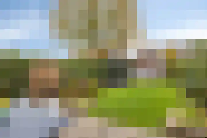Rollandthof 26 Zierikzee thumbnail 34
