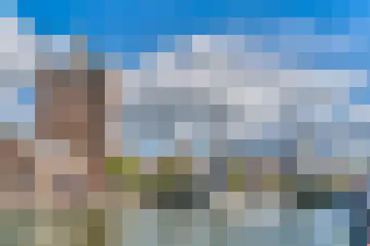 Rollandthof 26 Zierikzee thumbnail 36