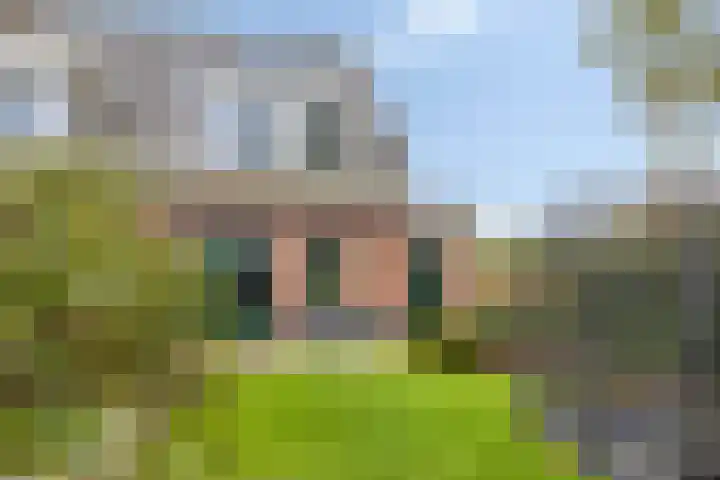 Rollandthof 26 Zierikzee thumbnail 4