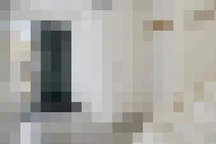 Rollandthof 26 Zierikzee thumbnail 9