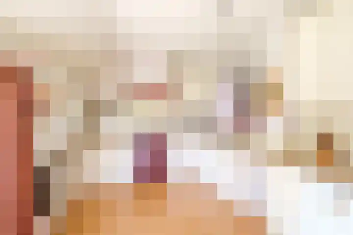 Rollecate 22 Nieuwleusen thumbnail 11