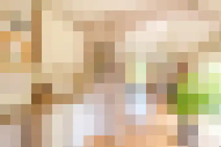 Rollecate 22 Nieuwleusen thumbnail 12