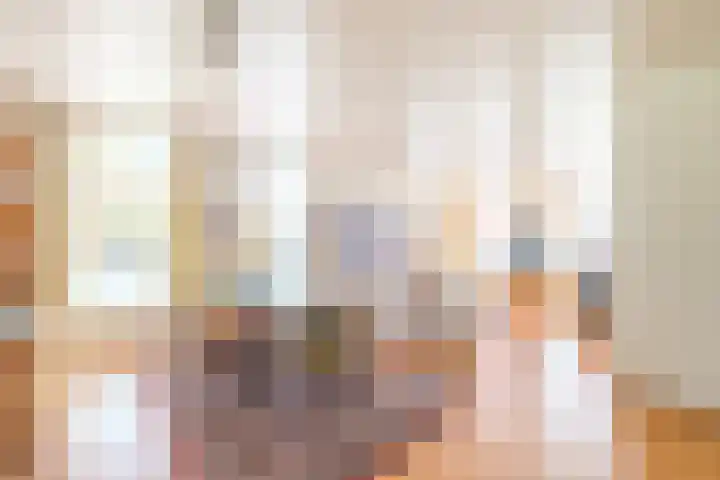 Rollecate 22 Nieuwleusen thumbnail 15