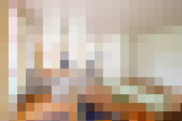 Rollecate 22 Nieuwleusen thumbnail 16