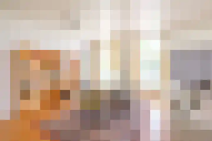 Rollecate 22 Nieuwleusen thumbnail 17