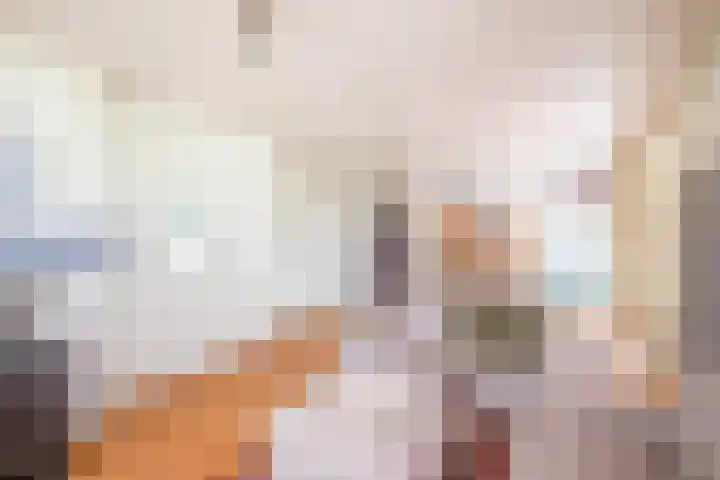 Rollecate 22 Nieuwleusen thumbnail 18