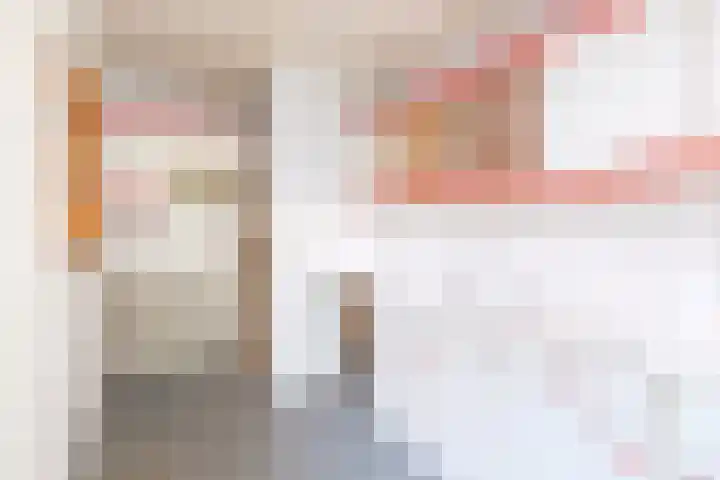 Rollecate 22 Nieuwleusen thumbnail 19
