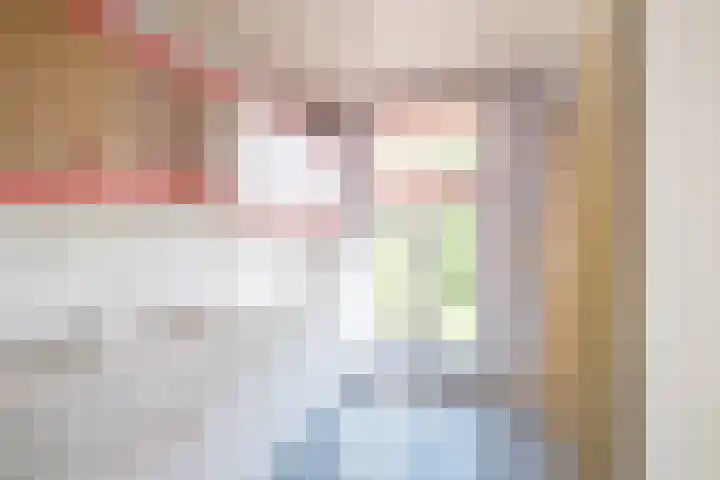 Rollecate 22 Nieuwleusen thumbnail 20