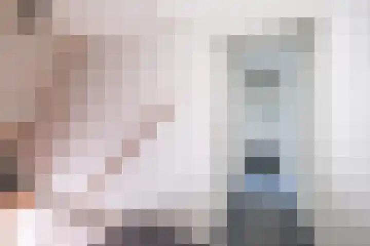 Rollecate 22 Nieuwleusen thumbnail 21