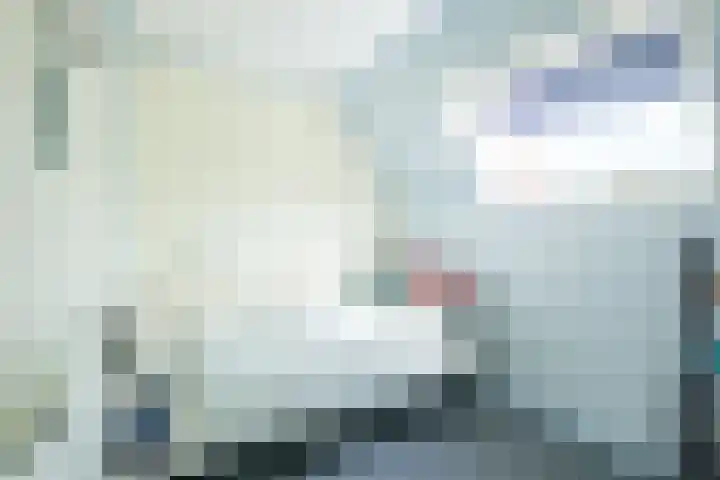Rollecate 22 Nieuwleusen thumbnail 24