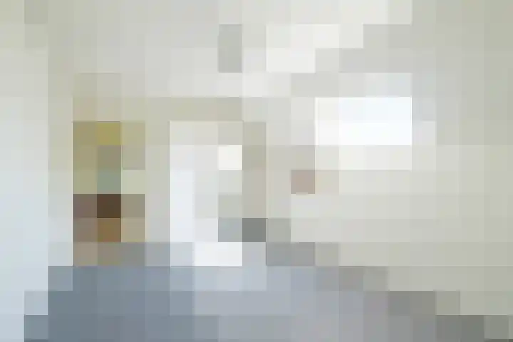 Rollecate 22 Nieuwleusen thumbnail 25