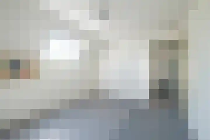 Rollecate 22 Nieuwleusen thumbnail 26